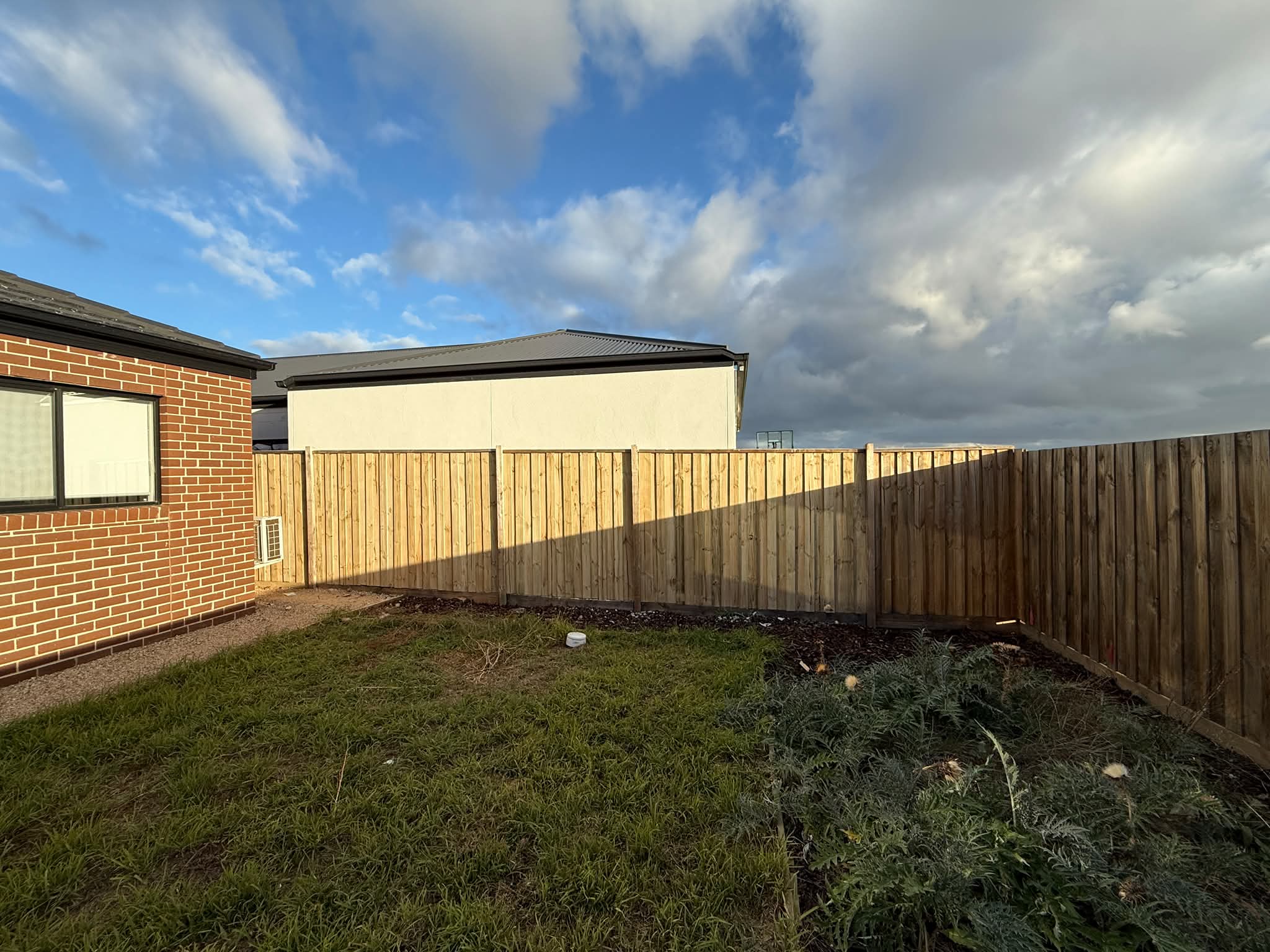 Timber Paling Fence